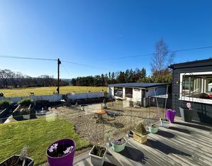 Photo 1- click for photo gallery